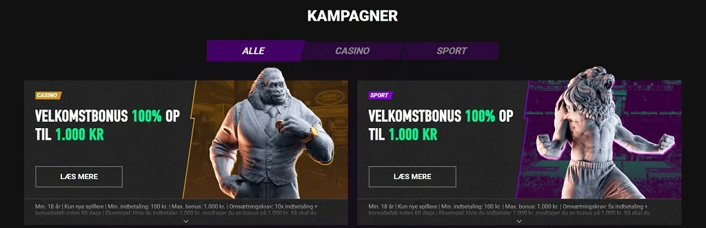 Betinia casino Kampagner