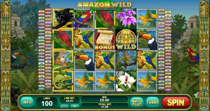 Amazon wild visuel