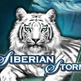 Siberian Storm slot anmeldelse